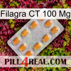 Filagra CT 100Mg cialis3